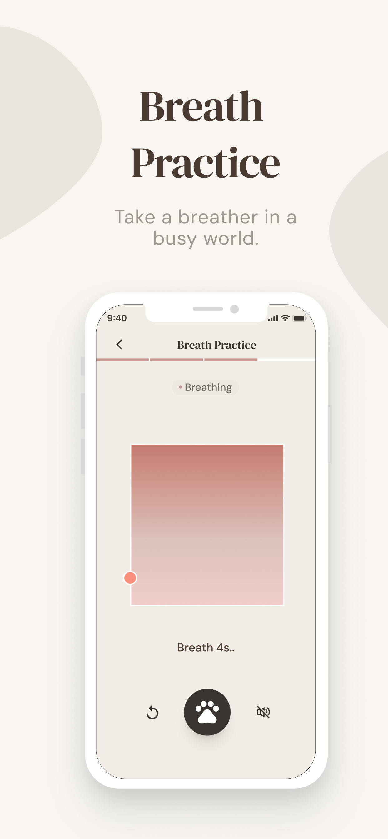 Breath Practice